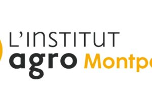 Stage Assistant·e Communication/Marketing à L’Institut Agro Montpellier